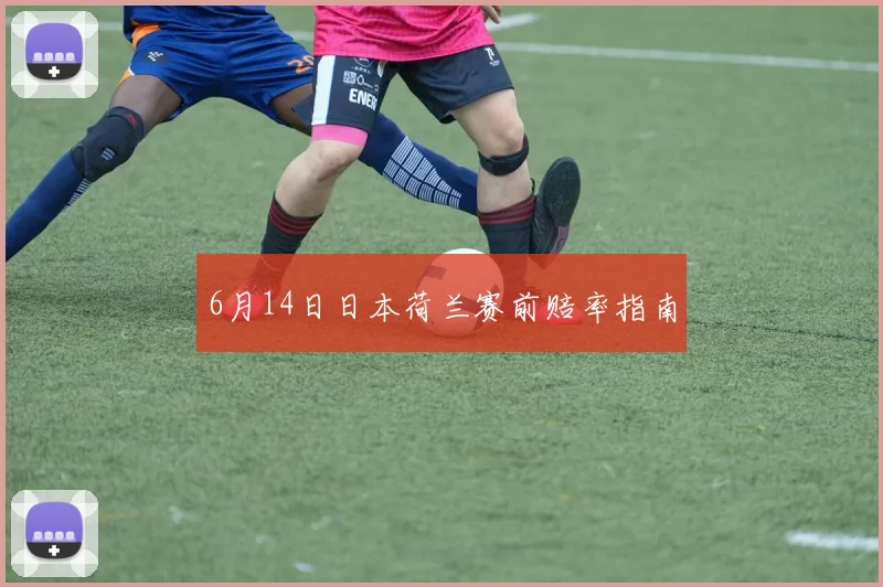 6月14日日本荷兰赛前赔率指南